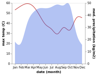 temperature and rainfall during the year in Djougou