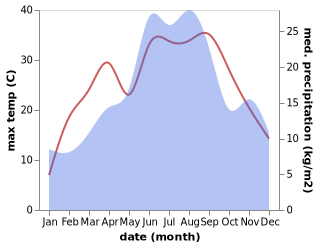 temperature and rainfall during the year in Dubravica