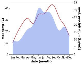 temperature and rainfall during the year in Brodac-Gornji