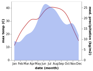 temperature and rainfall during the year in Dzhebel