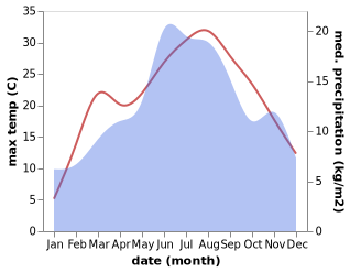 temperature and rainfall during the year in Borino