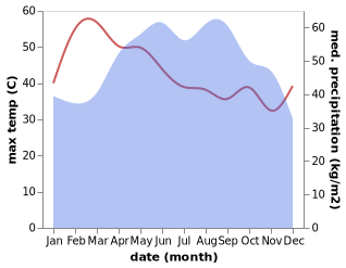 temperature and rainfall during the year in Battambang