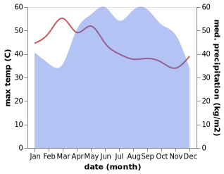 temperature and rainfall during the year in Bat Doeng