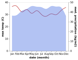 temperature and rainfall during the year in Ebolowa