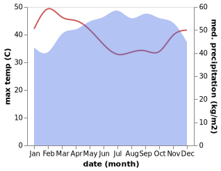 temperature and rainfall during the year in Bamusso