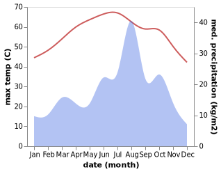 temperature and rainfall during the year in Faya-Largeau