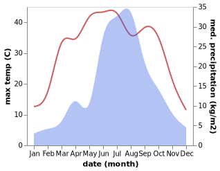 temperature and rainfall during the year in Puwa