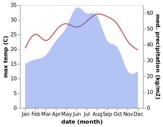 temperature and rainfall during the year in Dongling