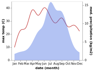 temperature and rainfall during the year in Rinang