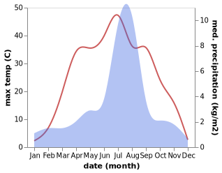 temperature and rainfall during the year in Rutog