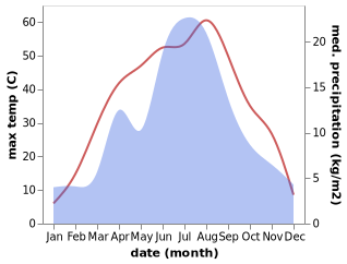 temperature and rainfall during the year in Bohu