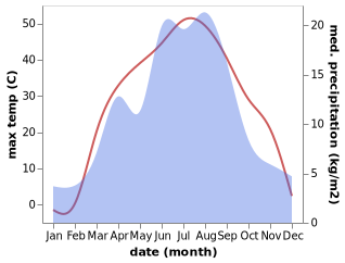 temperature and rainfall during the year in Todok