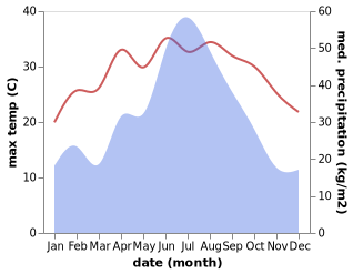 temperature and rainfall during the year in Dajingzhen