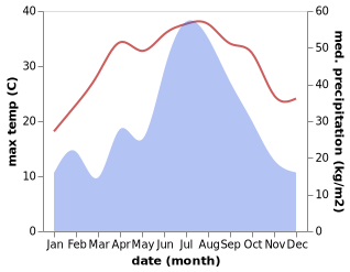 temperature and rainfall during the year in Dayin