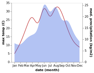 temperature and rainfall during the year in Kamenicky Senov