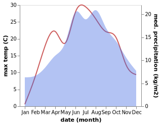 temperature and rainfall during the year in Borova Lada