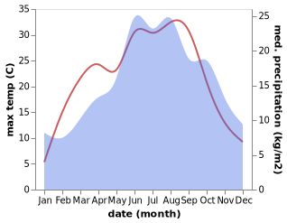 temperature and rainfall during the year in Brasy