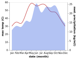 temperature and rainfall during the year in Al Manzilah