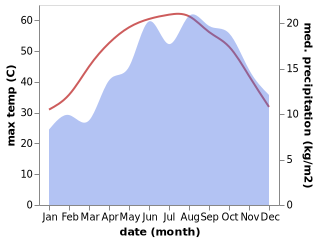 temperature and rainfall during the year in Qasr al Farafirah