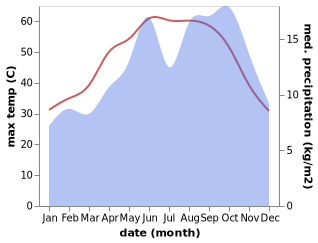 temperature and rainfall during the year in Nueiba