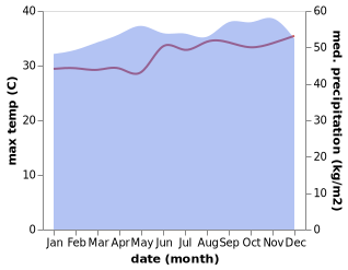 temperature and rainfall during the year in Bitica