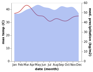 temperature and rainfall during the year in Rio Campo