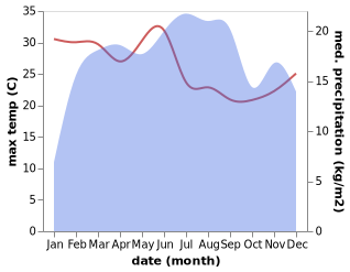 temperature and rainfall during the year in Bichena