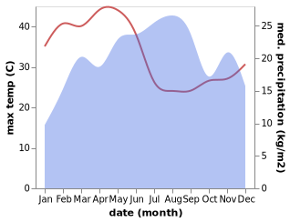 temperature and rainfall during the year in Debre Tabor