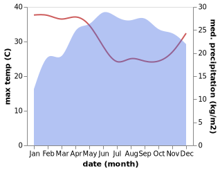 temperature and rainfall during the year in Yirga 'Alem