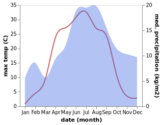 temperature and rainfall during the year in Jalasjarvi