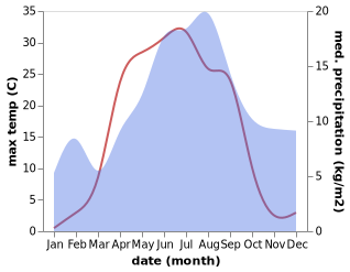 temperature and rainfall during the year in Perho