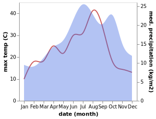 temperature and rainfall during the year in Brannay