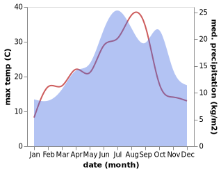 temperature and rainfall during the year in Brassy