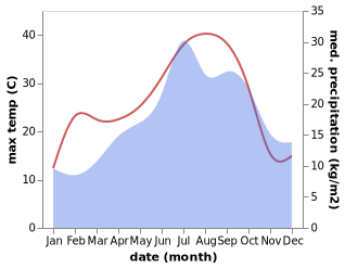 temperature and rainfall during the year in Albi