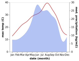 temperature and rainfall during the year in Dmanisi