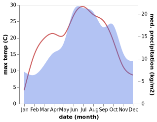 temperature and rainfall during the year in Bad Durrheim