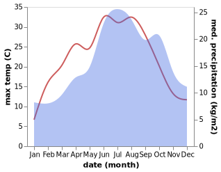 temperature and rainfall during the year in Bad Sackingen