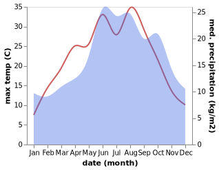 temperature and rainfall during the year in Borkheide