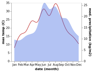 temperature and rainfall during the year in Bergfeld