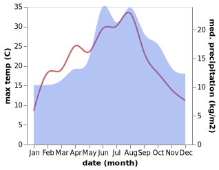 temperature and rainfall during the year in Laar