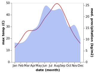 temperature and rainfall during the year in Agios Dimitrios