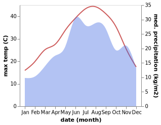 temperature and rainfall during the year in Agios Pavlos