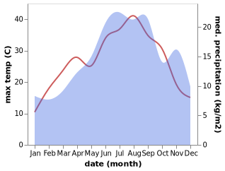 temperature and rainfall during the year in Gymnotopos