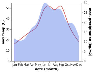 temperature and rainfall during the year in Elevtherai