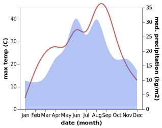 temperature and rainfall during the year in Bucsa