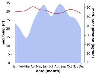 temperature and rainfall during the year in Bamboo Flat