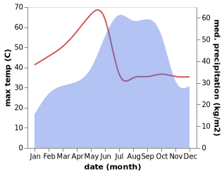 temperature and rainfall during the year in Warangal