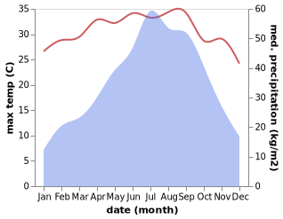 temperature and rainfall during the year in Along