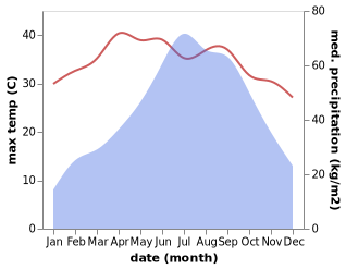 temperature and rainfall during the year in Margherita