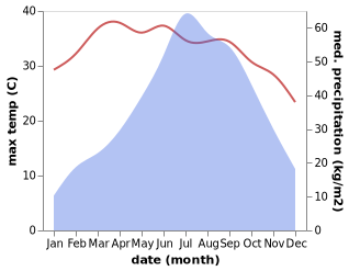 temperature and rainfall during the year in Tezu